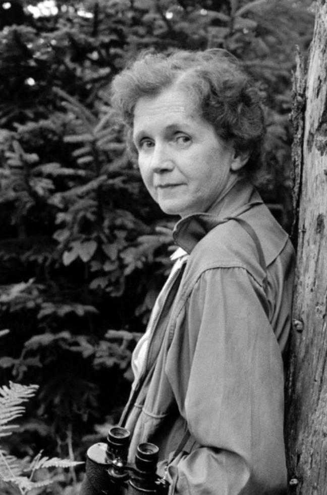 Rachel Carson later in life, leaning against a tree with binoculars around her neck